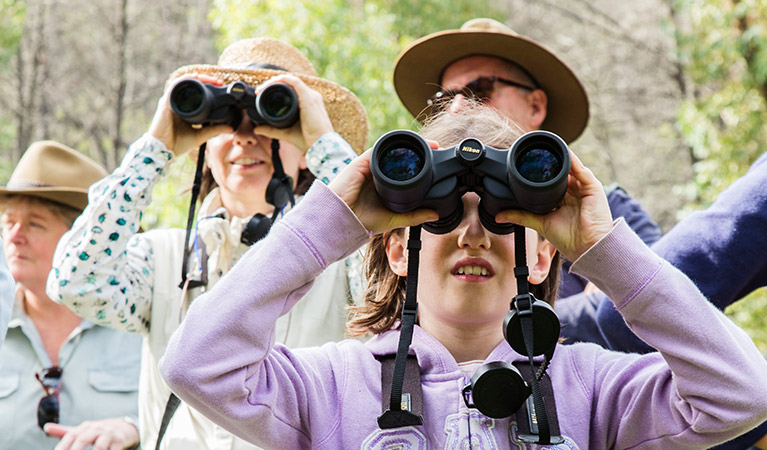 Close up of a group of people with binoculars at Warrumbungle National Park. Photo: Simone Cottrell &copy; Simone Cottrell & DPE