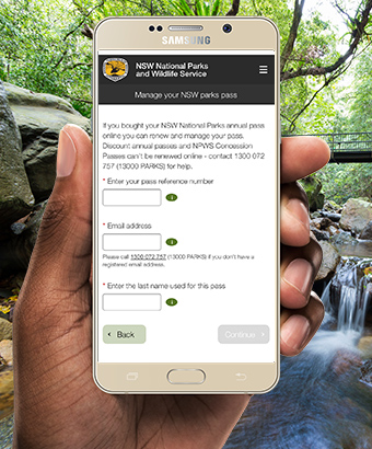 A hand holds a mobile phone against a rainforest landscape background. Photo: David Finnegan/OEH