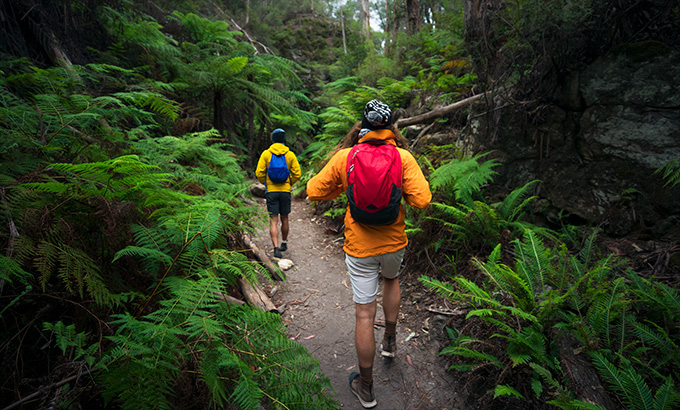 Walkers on the Glow Worm Tunnel walking track, Wollemi National Park. Photo: Daniel Tran &copy; DPE