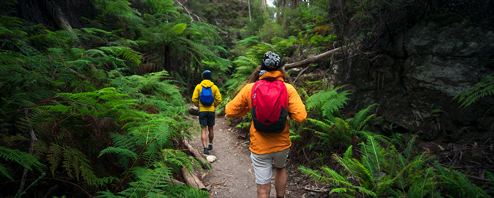 Walkers on the Glow Worm Tunnel walking track, Wollemi National Park. Photo: Daniel Tran &copy; DPE