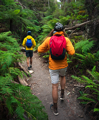 Walkers on the Glow Worm Tunnel walking track, Wollemi National Park. Photo: Daniel Tran &copy; DPE