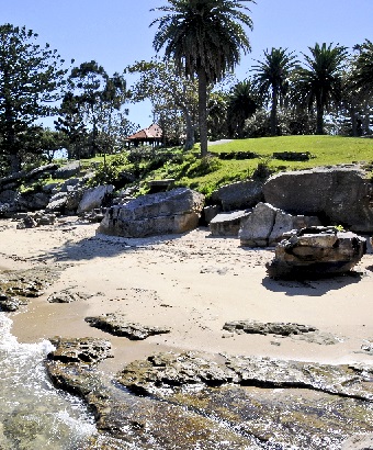 Beach, Shark Island, Sydney Harbour National Park. Photo: K McGrath/OEH