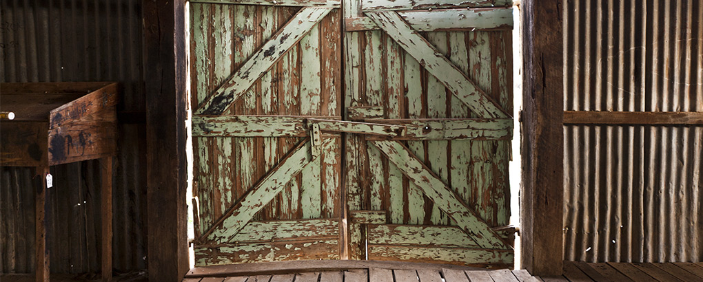 Woolshed, Murrumbidgee Valley National Park. Photo: David Finnegan