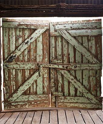 Woolshed, Murrumbidgee Valley National Park. Photo: David Finnegan