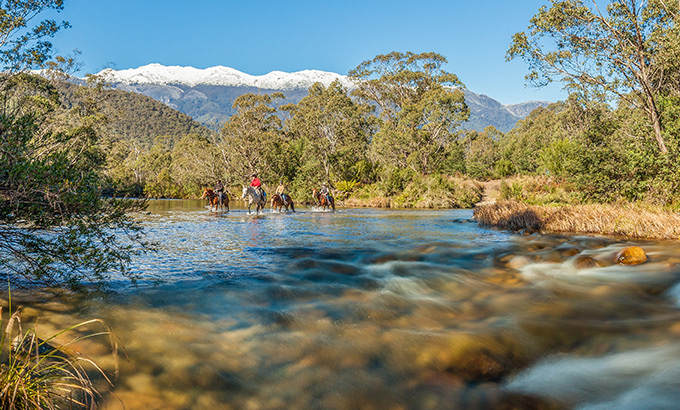 Horse riders cross the Swamp Plain River at Geehi, Snowy Mountains, Kosciuszko National Park. Photo: Murray Vanderveer/DPIE