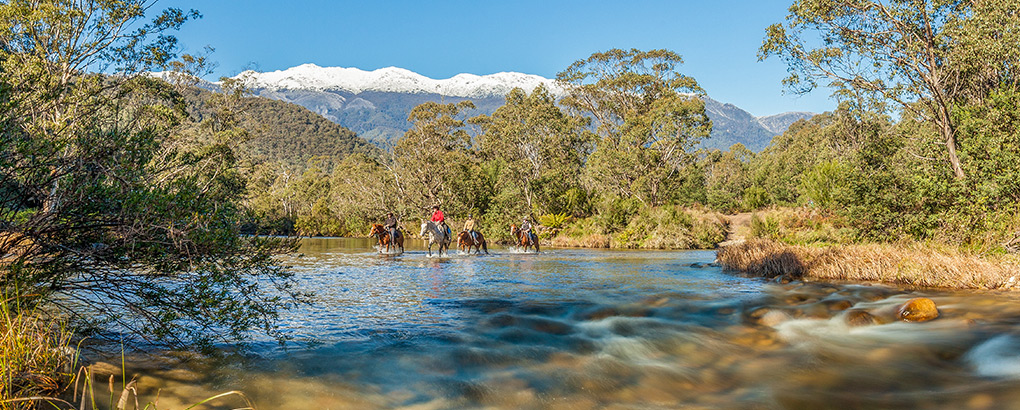 Horse riders cross the Swamp Plain River at Geehi, Snowy Mountains, Kosciuszko National Park. Photo: Murray Vanderveer/DPIE