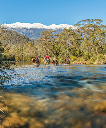 Horse riders cross the Swamp Plain River at Geehi, Snowy Mountains, Kosciuszko National Park. Photo: Murray Vanderveer/DPIE