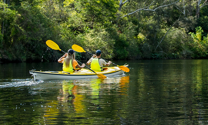 2 people in a double kayak paddling on Lane Cove River in Lane Cove National Park. Photo: Daniel Parsons/DPIE