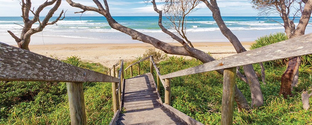 Timber steps to beach, Illaroo North campground, Yuraygir National Park. Photo: Rob Cleary/OEH