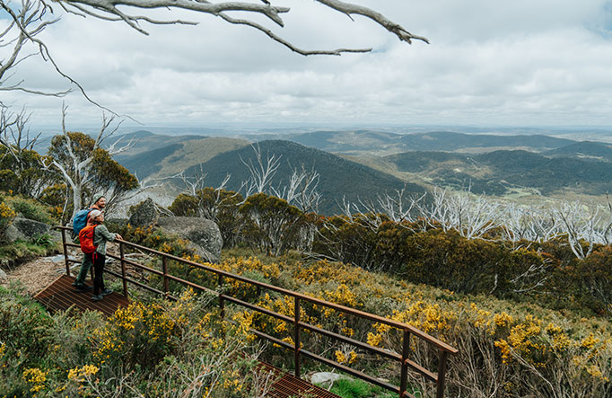 2 hikers looking out an explansive view of the Snowy Mountains surrounded by wildflowers on day 3 of Snowies Alpine Walk. Credit: Remy Brand / DCCEEW &copy; Caravel Content