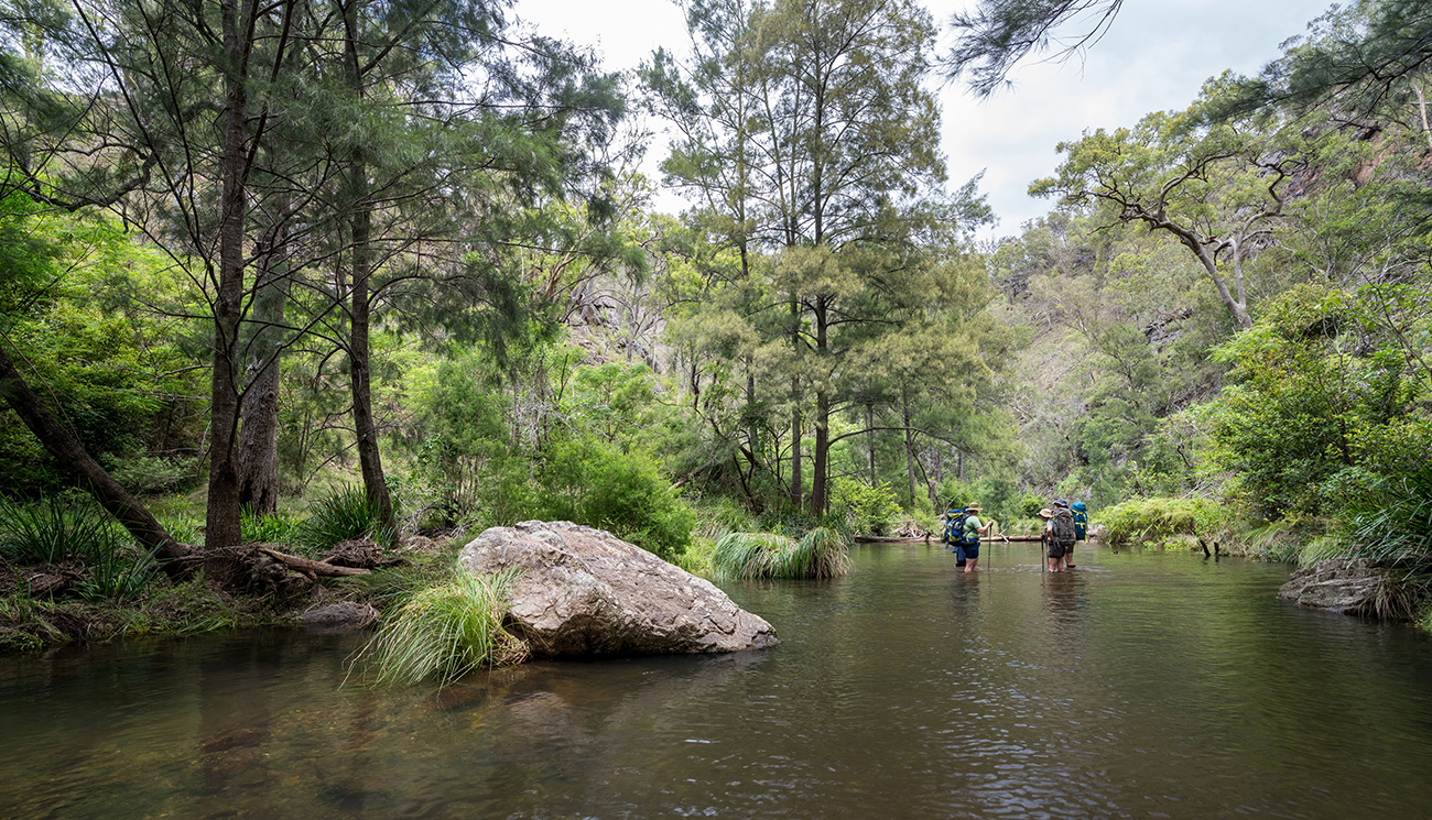 Hikers wading through water surrounded by a rocky gorge along Green Gully track at Oxley Wild Rivers National Park. &copy; DCCEEW
