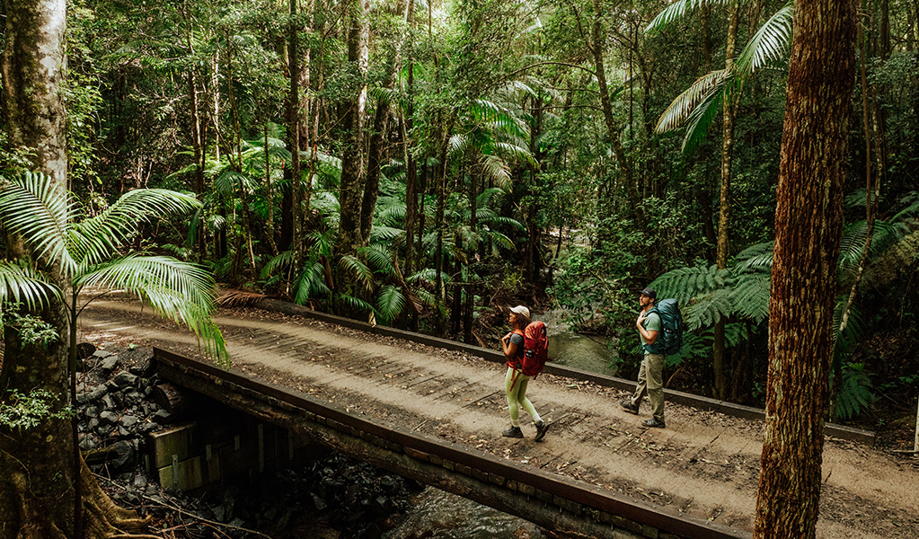 Walkers crossing a small bridge on Gidjuum Gulganyi Walk in Mount Jerusalem National Park. Credit: Daniel Parsons/DCCEEW &copy; Daniel Parsons