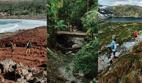 An image of people doing multi-day hikes on 6 different NSW Great Walks. &copy; DCCEEW