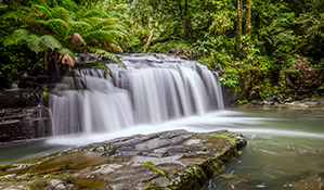 Barrington Falls waterfall cascades into a rainforest creek in Barrington Tops National Park. Photo: John Spencer/OEH