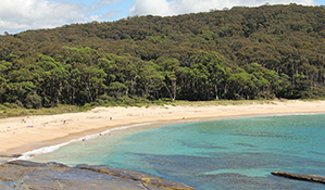 People swimming at Depot Beach, Murramarang National Park. Photo: J Yurasek/OEH