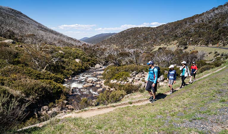 A family walk beside the Thredbo River at the start of Dead Horse Gap walking track, Kosciuszko National Park. Photo: Robert Mulally/DPIE