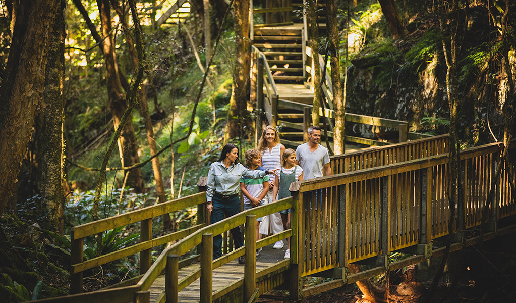 A family walking across a timber boardwalk with a NSW national parks guide, enjoying a guided tour of Copeland Tops State Conservation Area. Credit: Guy Williment  &copy; Destination NSW