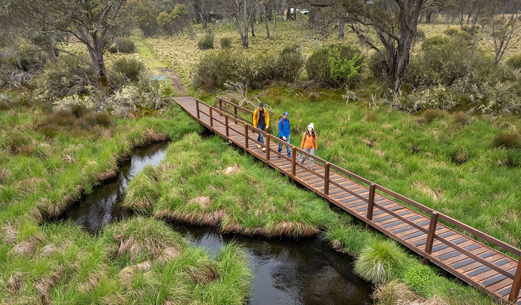 An aerial view of people on a raised boardwalk along Polblue Swamp track looking at the wetlands and high altitude forests of the Barrington Tops Plateau. Credit: John Spencer/DCCEEW  &copy; DCCEEW