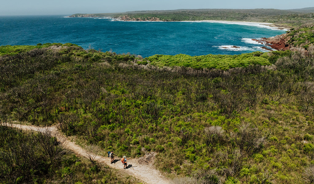 Aerial view of the bushland behind Saltwater Beach. Credit: Daniel Parsons/DCCEEW &copy; Daniel Parsons