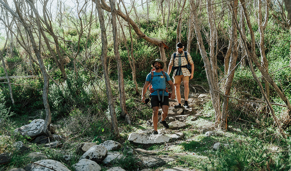 Hikers walking through bushland near Hegartys Bay. Credit: Remy Brand/DCCEEW &copy; Remy Brand