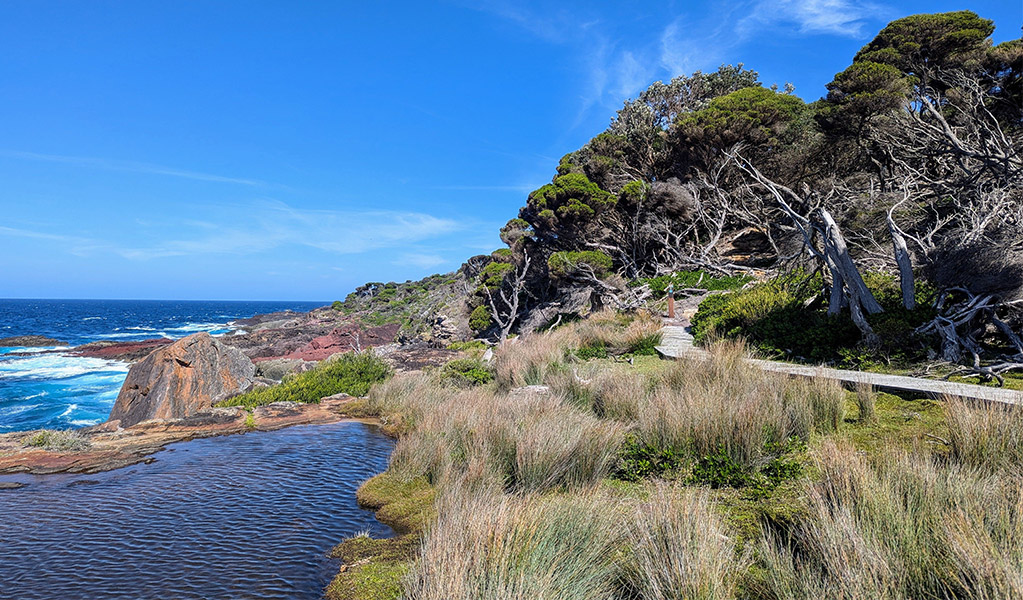 Green Cape loop walking track. Credit: Sam Doherty &copy; DCCEEW