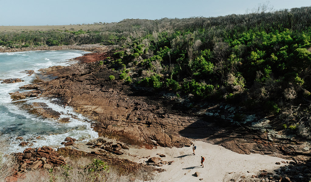 Hikers admiring ocean views from the sands of Hegartys Bay in Beowa National Park. Credit: Daniel Parsons/DCCEEW &copy; Daniel Parsons
