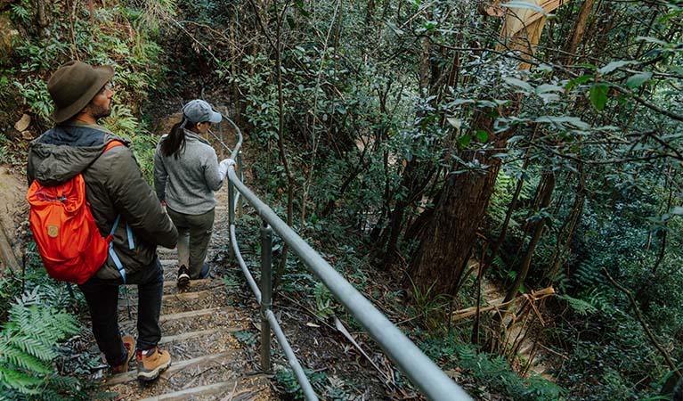 2 walkers going down Fern Bower to Furber Steps walk, Blue Mountains National Park. Photo: Remy Brand &copy; Remy Brand