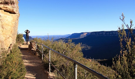 Prince Henry Cliff walk in Blue Mountains National Park. Photo: Natasha Webb