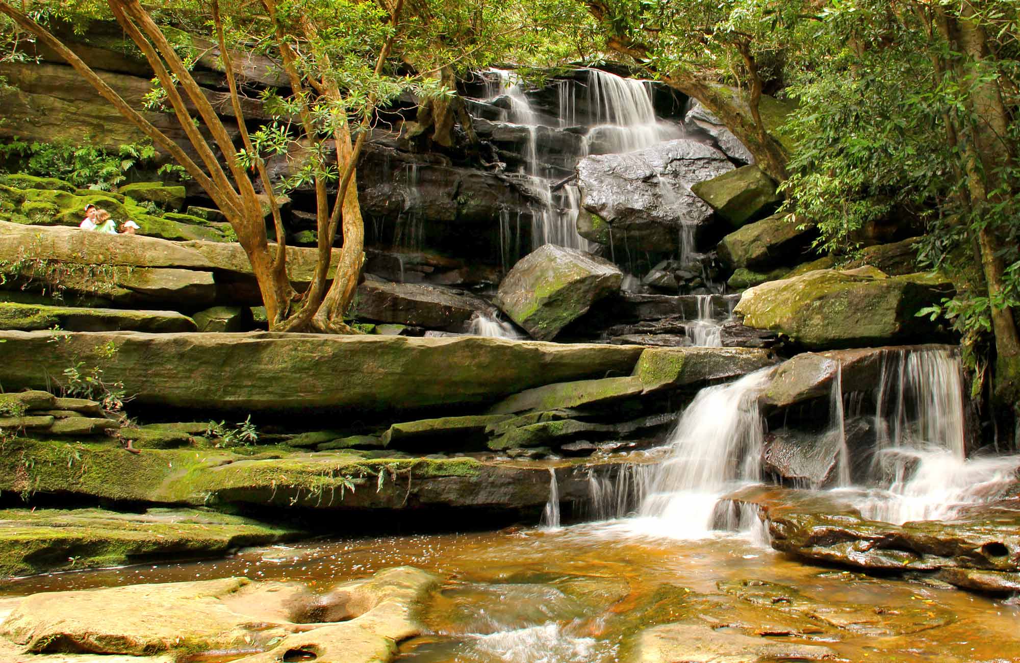 Somersby Fall. Photo: John Yurasek