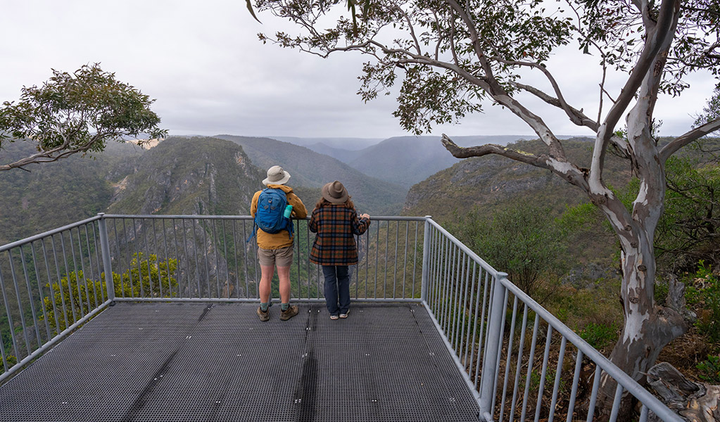 People admiring views of Bungonia Slot Canyon from Adams lookout. Photo: John Spencer/DCCEEW &copy; DCCEEW