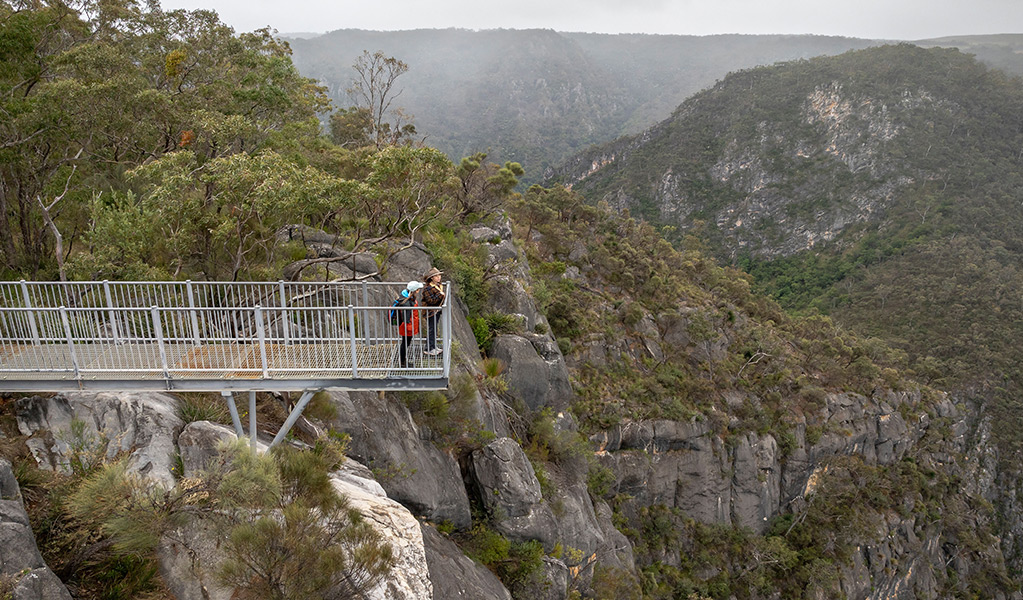 People admiring views into Bungonia Creek Gorge from The Lookdown lookout. Photo: John Spencer/DCCEEW &copy; DCCEEW