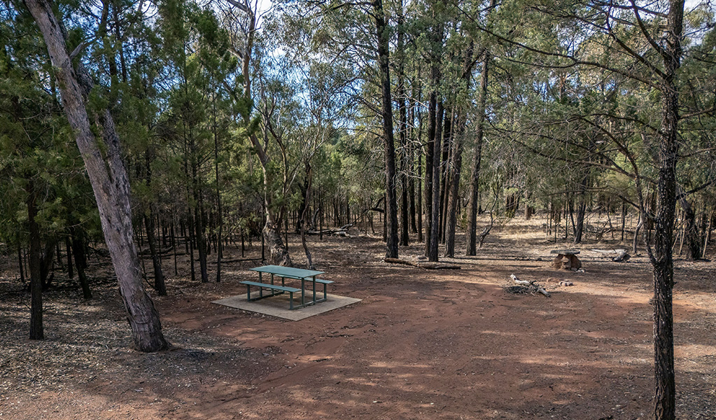 Picnic table and clearing at Ironbark picnic area in Cocoparra National Park. Credit: John Spencer &copy; DCCEEW