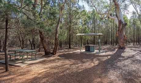 A sheltered barbecue beside a picnic table in a shady, forested patch at Jacks Creek picnic area. Credit: John Spencer &copy; DCCEEW