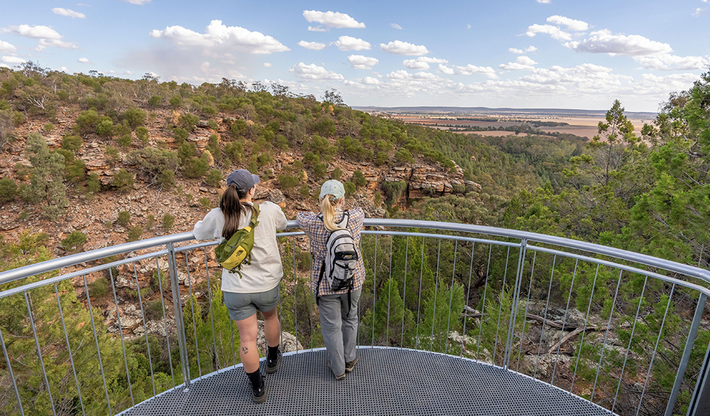 Two women stand at the high steel railing of Jacks Creek lookout with views down into a gorge and expansive views out across country. Credit: John Spencer &copy; DCCEEW