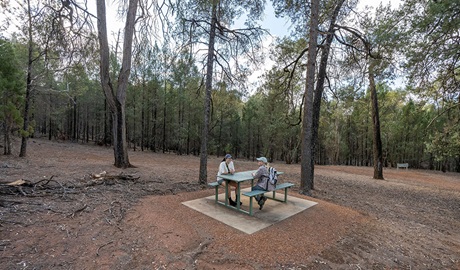 Two people sitting at a picnic table at The Pines picnic area in Cocoparra National Park. Credit: John Spencer &copy; DCCEEW