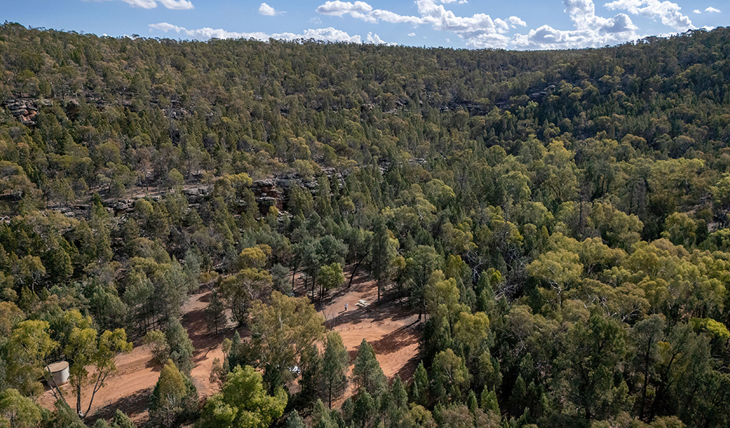 Aerial view of The Pines picnic area in Cocoparra National Park. Credit: John Spencer &copy; DCCEEW