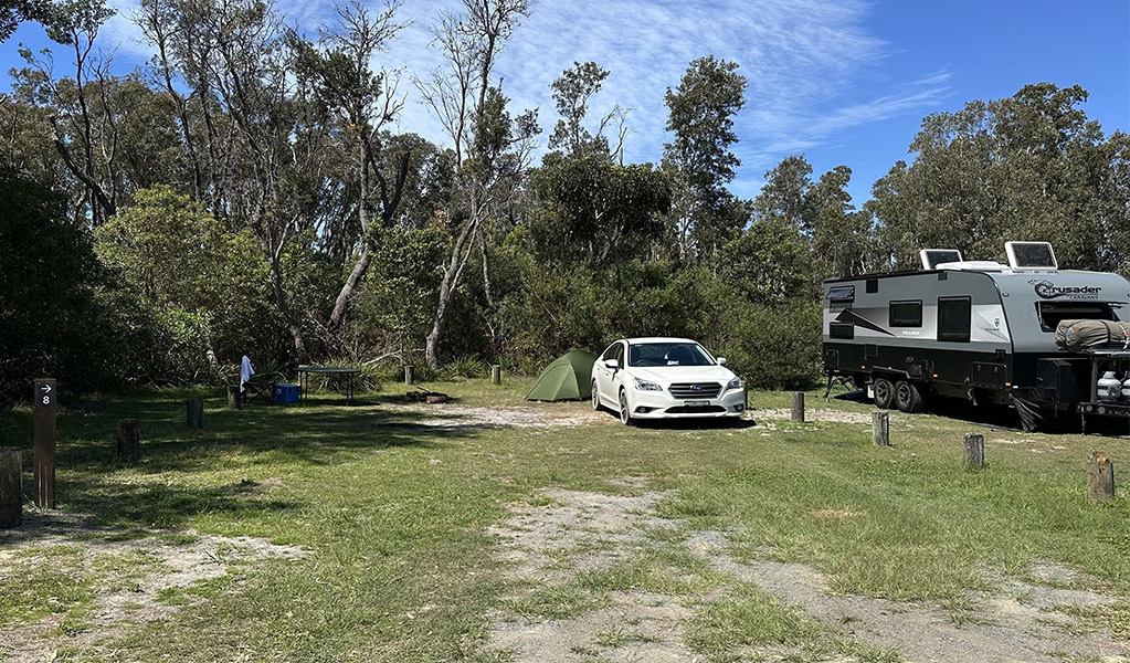 Campsite at Crowdy Gap campground. Credit: &copy; DCCEEW