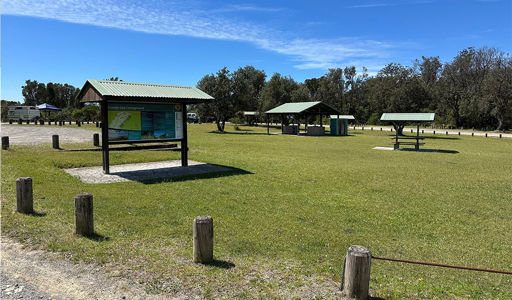 Grassy area and picnic shelters at Crowdy Gap campground. Credit: &copy; DCCEEW