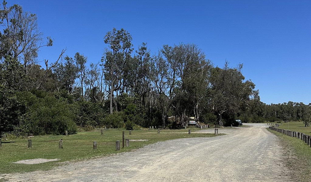 The road leading through Crowdy Gap campground. Credit: &copy; DCCEEW