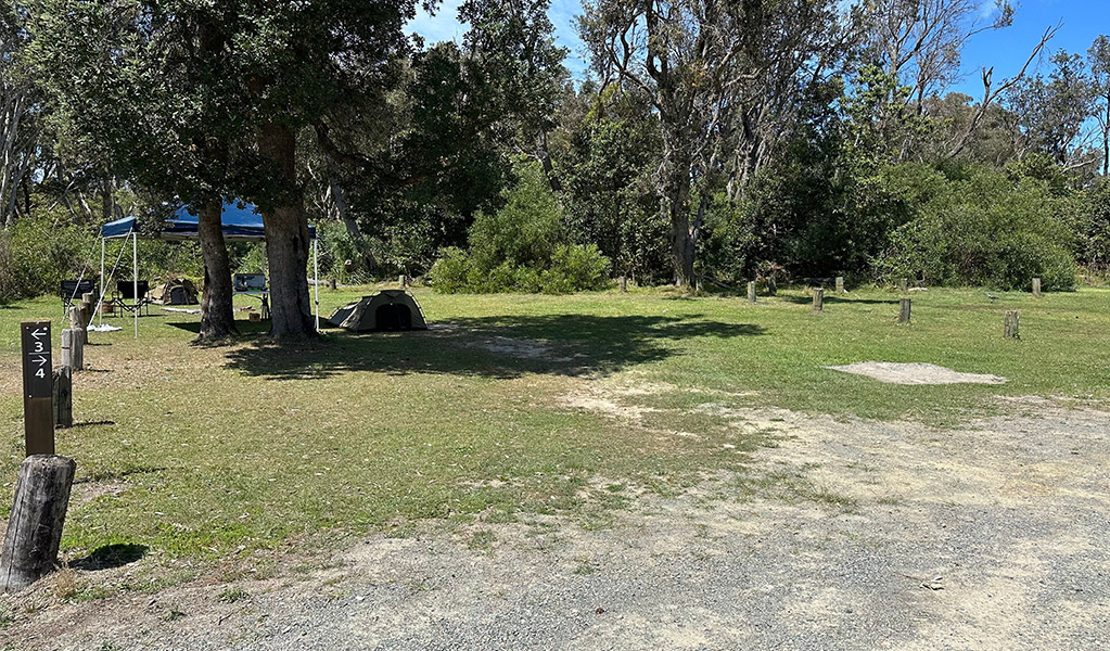 Campsite 4 at Crowdy Gap campground. Credit: &copy; DCCEEW
