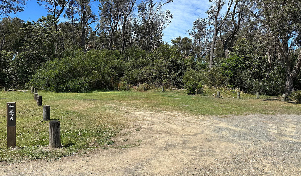 Campsite 6 at Crowdy Gap campground. Credit: &copy; DCCEEW