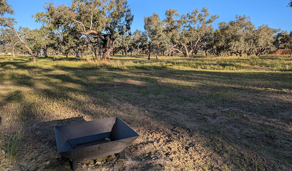 Grassy area with fireplace at Comeroo campground. Credit: Jessica Stokes &copy; DCCEEW