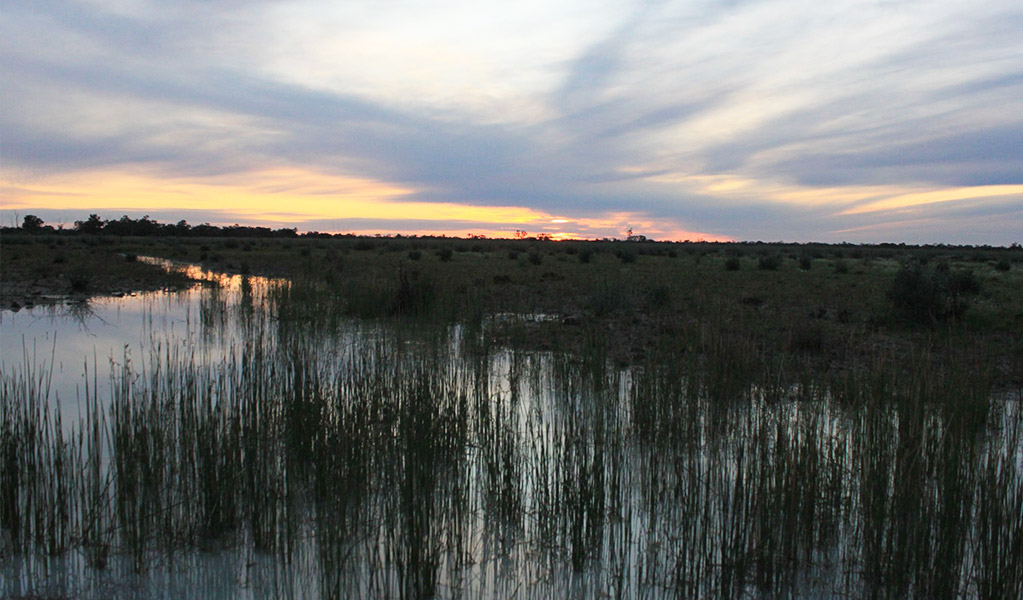 Floodplains at sunset along Cuttaburra scenic drive in Cuttaburra National Park. Credit: Paula Kennedy &copy; DCCEEW