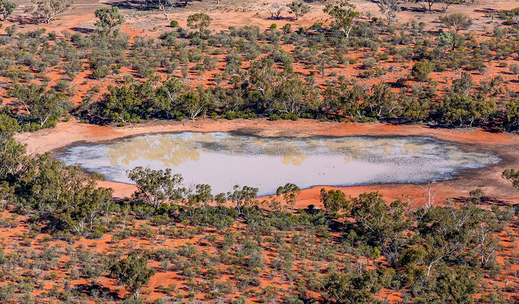 Comeroo claypan, Cuttaburra National Park. Credit: Joshua Smith &copy; DCCEEW