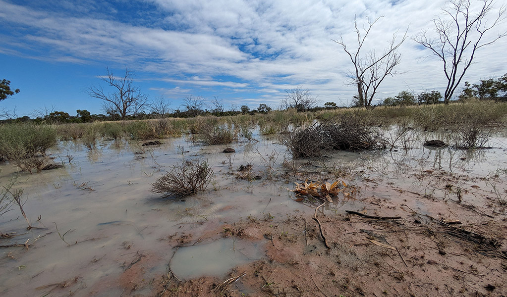 Back creek crossing in Cuttaburra National Park. Credit: Jessica Stokes &copy; DCCEEW