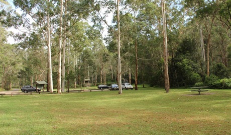Mill Creek picnic area, Dharug National Park. Photo: John Yurasek &copy; OEH