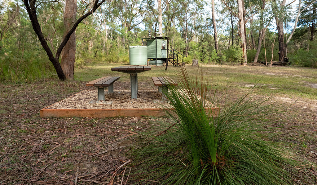 Picnic table at Ten Mile Hollow campground. Photo: Allan Chawner &copy; DCCEEW
