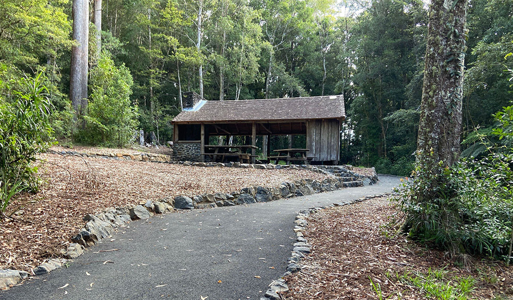 An concrete path leading to a shelter and picnic table at Never Never picnic area in Dorrigo National Park. Credit: Barbara Webster &copy; DCCEEW