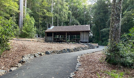 An concrete path leading to a shelter and picnic table at Never Never picnic area in Dorrigo National Park. Credit: Barbara Webster &copy; DCCEEW