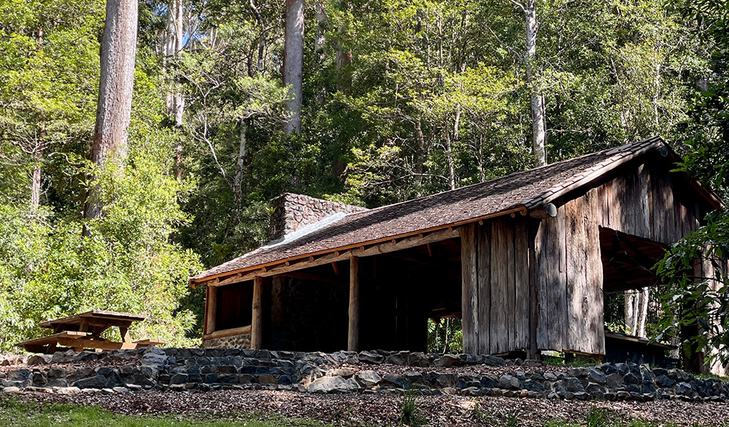A shelter at Never Never picnic area surrounded by tall trees and bush in Dorrigo National Park. Credit: Tom Denman &copy; DCCEEW